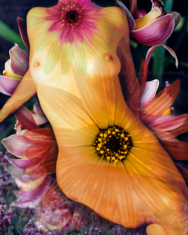 "Seasons - Spring" Limited Edition Archival Print on Aluminum