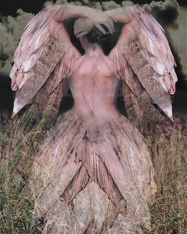 "Victorian Angel" Limited Edition Archival Print on Aluminum