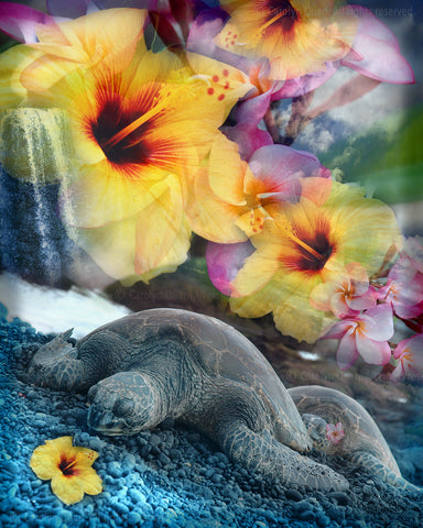"Dreaming Honu" Limited Edition Archival Print on Aluminum