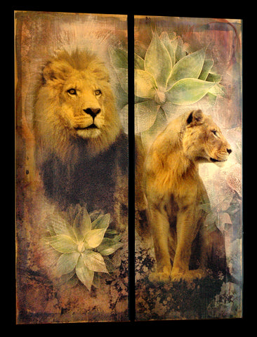 Lion and Lioness - Diptych on floating wood panels - 18"x48" (each panel)