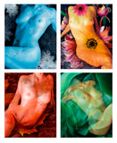 "Seasons - Winter" Limited Edition Archival Print on Aluminum