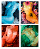 "Seasons - Summer" Limited Edition Archival Print on Aluminum